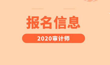 2024年青海注冊會計師報考條件_青海省注冊會計師報名_青海省注冊會計師報名時間