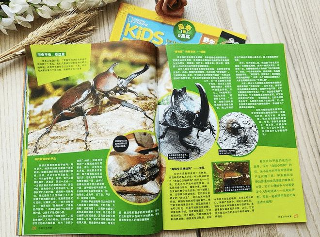 環(huán)球地理雜志獲獎作品_寰球地理雜志_環(huán)球地理雜志官網(wǎng)