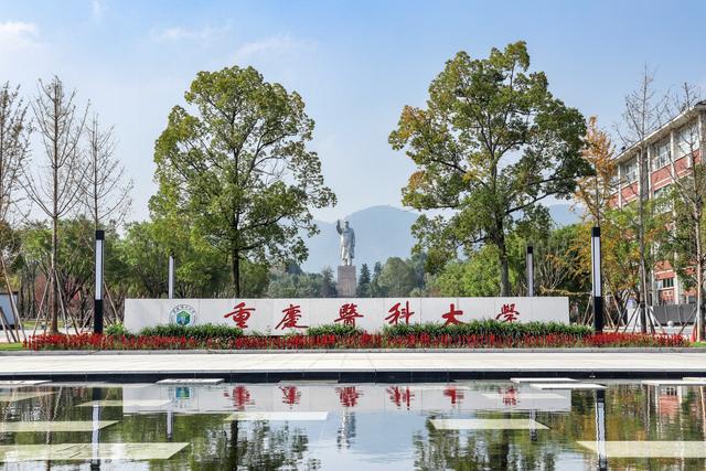 2024年重慶醫科大學專科分數線_重慶醫科大學專科2021_重慶醫科大學專科批分數線