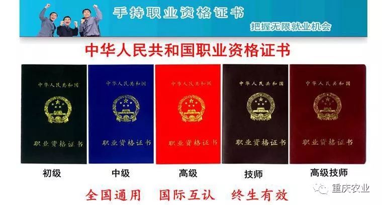 杭州技師學院貼吧_杭州技工院校_杭州工貿技師學院