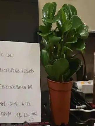 南北小年不是一天_南北小年為什么不是同一天_南北小年的由來