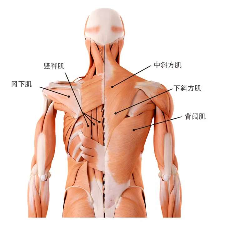 作用打比方的好處是什么_作用打比方和列數字寫一句話_打比方的作用