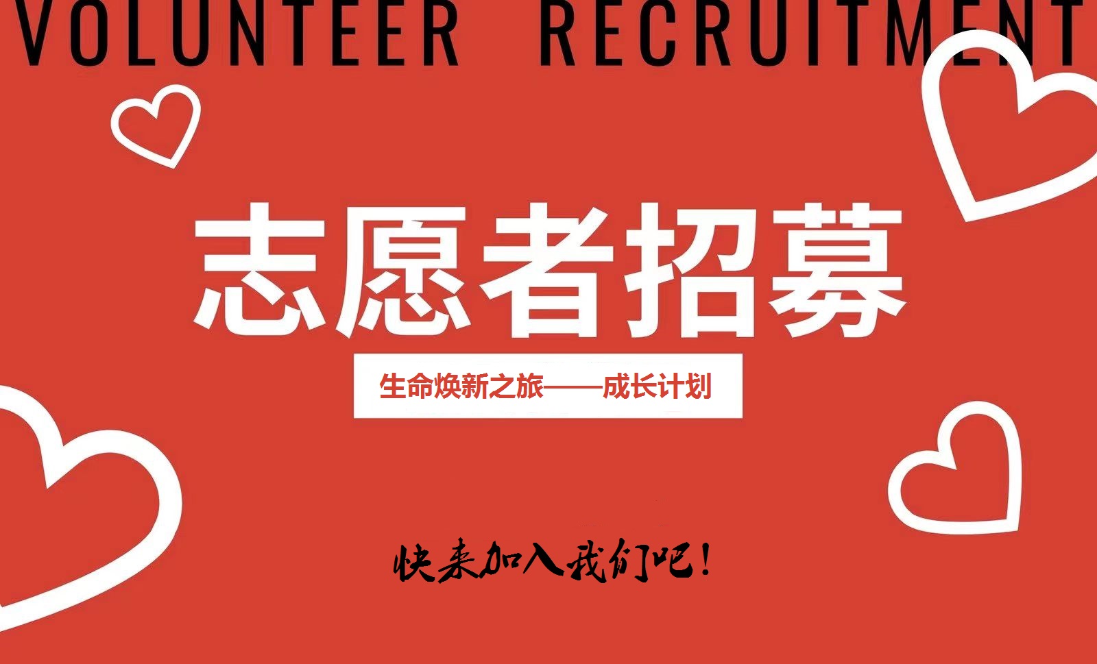 青海考試教育網成績查詢入口_青海考試教育網入口_青海教育考試網