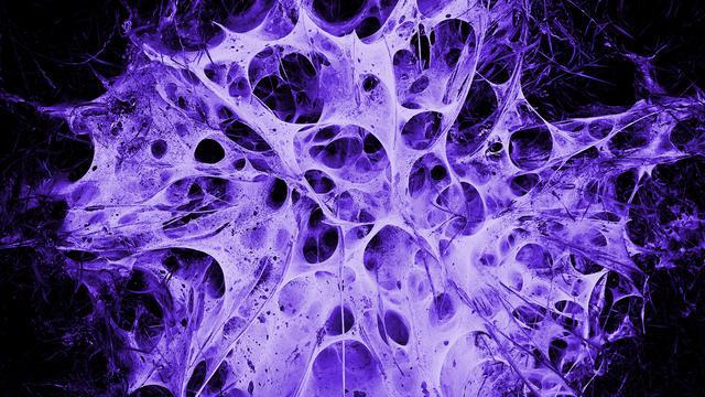 邢臺醫專錄取分數線_邢臺醫專專業錄取分數線_錄取分數邢臺線醫專多少分