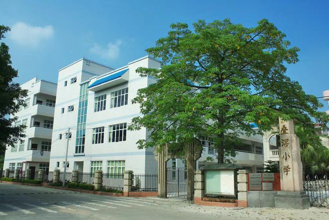 佛山市實驗學校中學部_佛山市實驗中學_佛山市實驗中學為什么改名