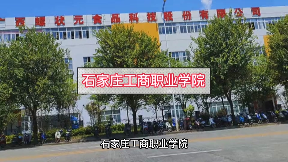 石家莊科技信息職業(yè)學(xué)院官網(wǎng)網(wǎng)址和入口_石家莊科技職業(yè)技術(shù)學(xué)院官網(wǎng)_石家莊科技信息職業(yè)教務(wù)網(wǎng)站