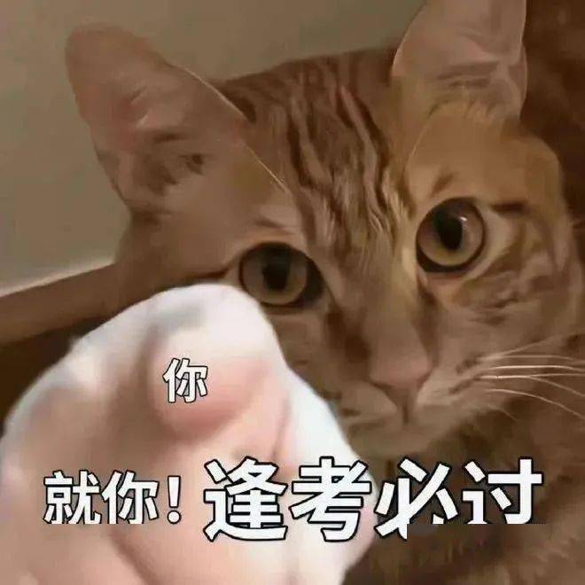 2021山東教師資格證官網_教師資格證山東省_山東教師資格證
