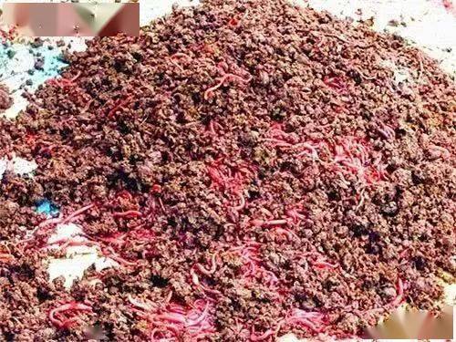 撈偏門的賺錢軟件_20個撈偏門的賺錢門路_一個月撈偏門可掙200萬