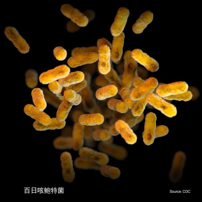成都市理科綜合一診考試_成都三診理綜_成都高考理綜
