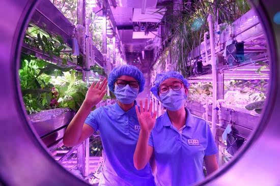 2020濟(jì)南育英中學(xué)喜報(bào)_濟(jì)南市育英中學(xué)_濟(jì)南育英中學(xué)2021