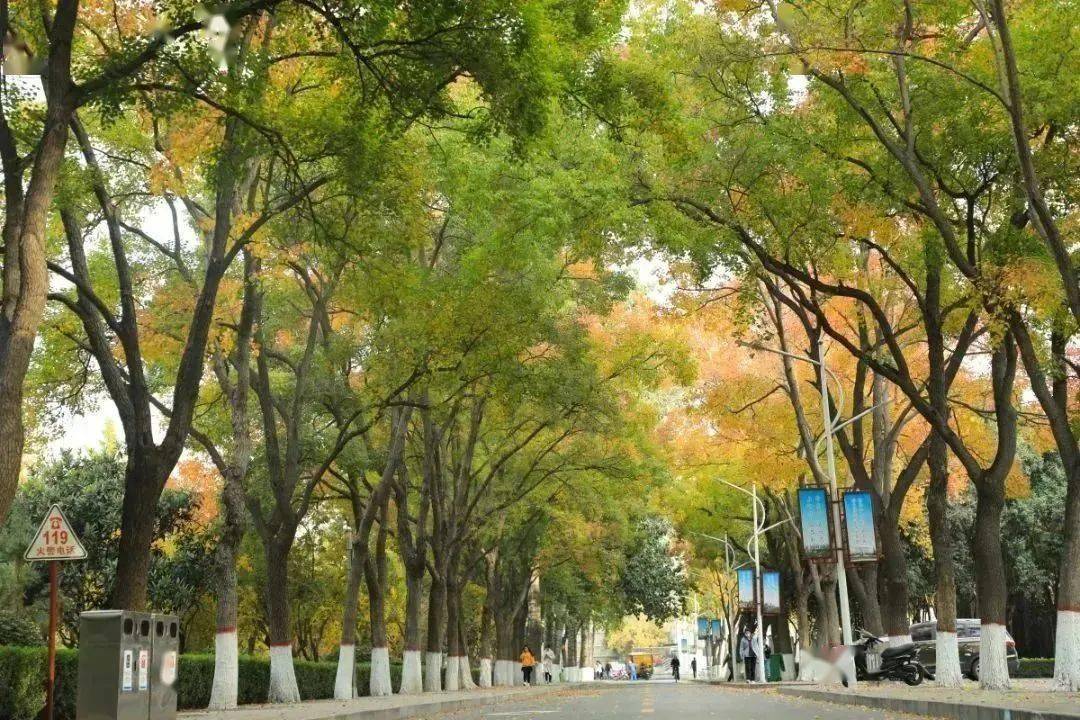 二本和本科哪個更厲害_一本是指什么大學 與二本有什么區別_二本和本二的區別