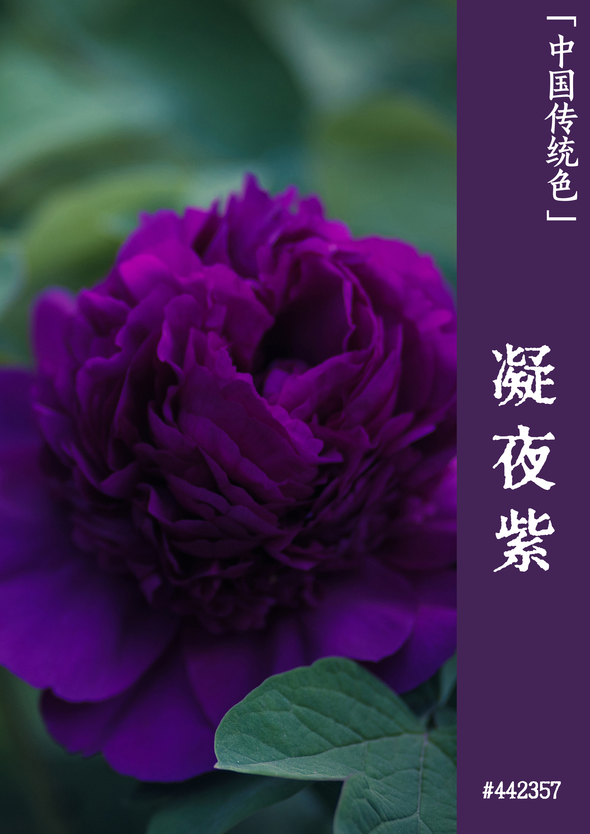 新余學(xué)院怎么樣_“新余學(xué)院”_新余學(xué)院vr