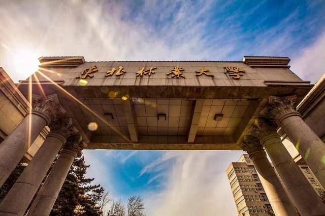 黑龍江高考狀元2024_21年高考黑龍江省狀元_二零二一年黑龍江高考狀元