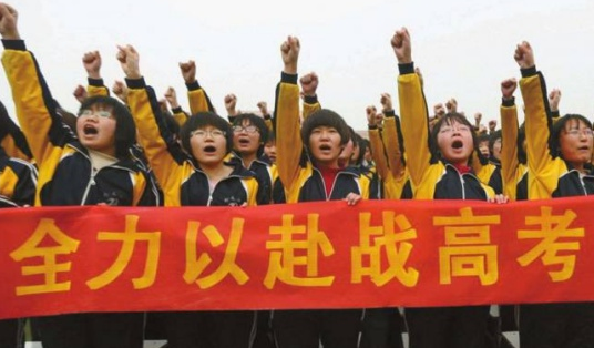浙江高考理綜_浙江高考理綜卷_浙江高考理綜分數分配