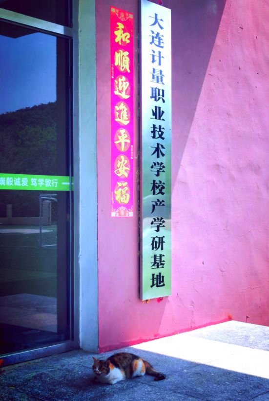上海師范大學(xué)錄取分?jǐn)?shù)線2024_2021年上海師范錄取分?jǐn)?shù)線_2020上海師范錄取分?jǐn)?shù)