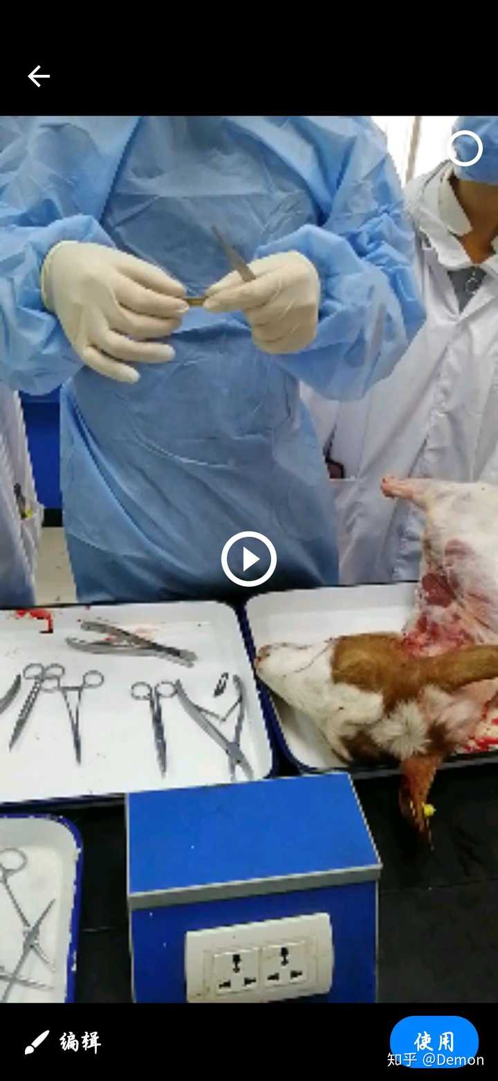 動物科學專業坑死我了_動物科學真的很慘嗎_動物科學后悔