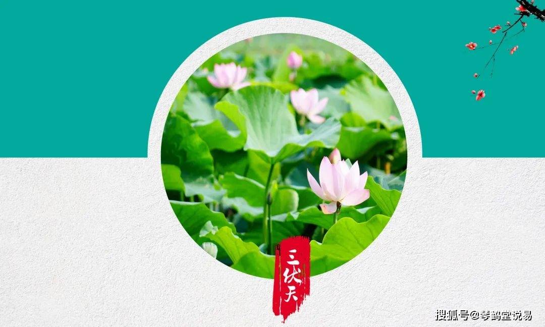 蓮塘一中實驗高中_蓮塘一中實驗學校多大_蓮塘一中實驗學校