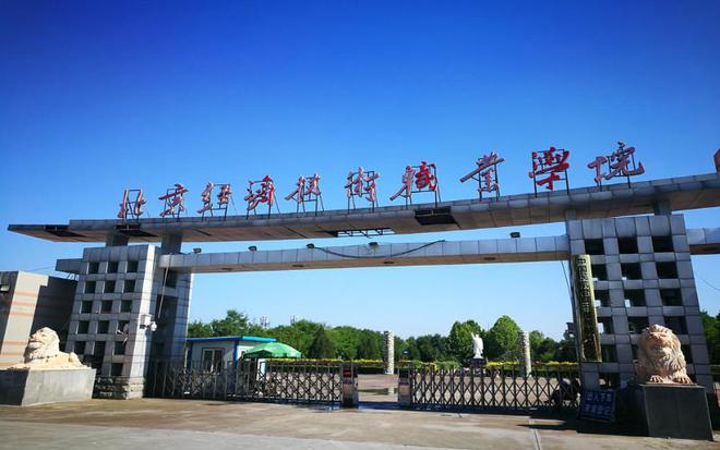 中考400分讀什么學(xué)校_高考知分報(bào)學(xué)校_300-400分報(bào)什么學(xué)校