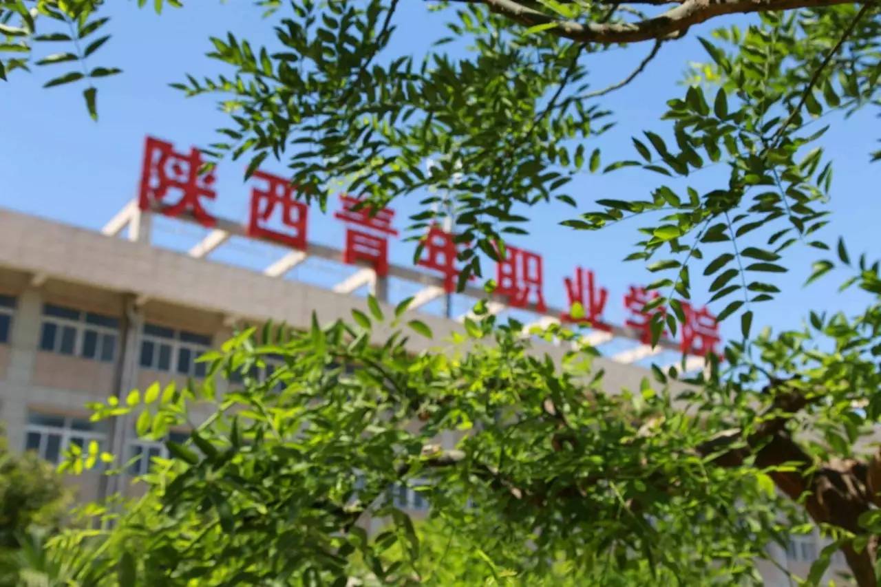 專科錄取結(jié)果公布時間2021_專科錄取公布結(jié)果時間是多久_專科錄取結(jié)果公布時間
