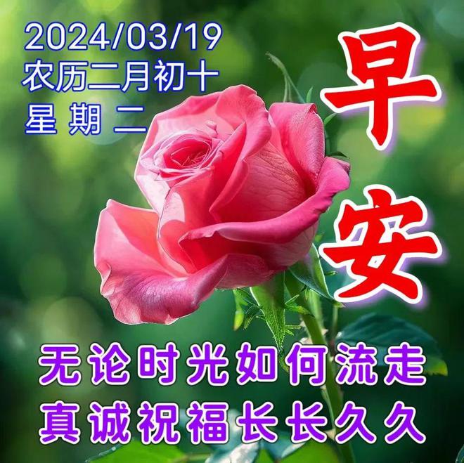 送朋友的祝福語_送語祝福朋友生日快樂_送語祝福朋友的句子