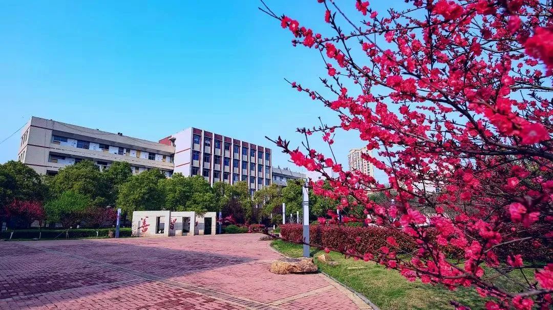 湖南女子學(xué)院怎么樣知乎_湖南女子學(xué)院怎么樣_2021湖南女子學(xué)院官網(wǎng)
