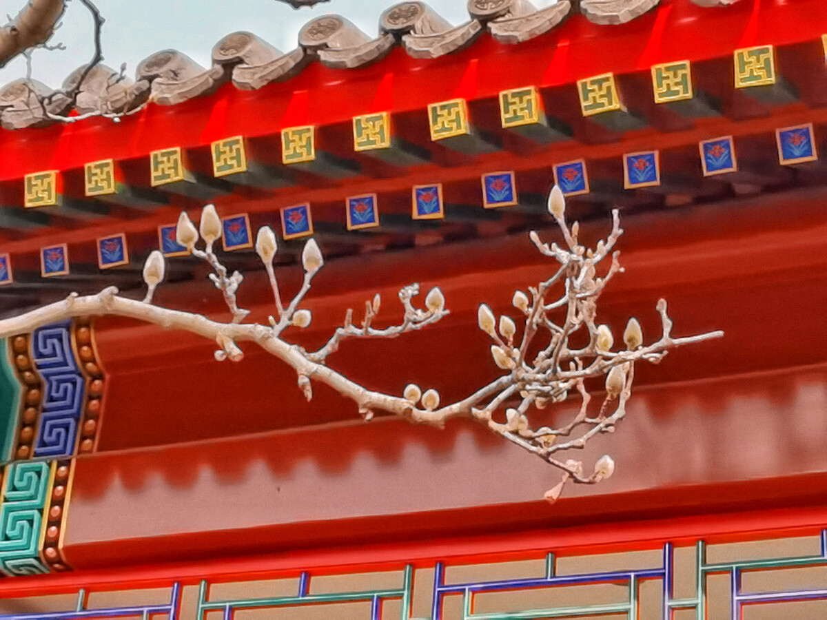 已春天有關詞語_跟春天有關的詞語_春天有關的詞語是