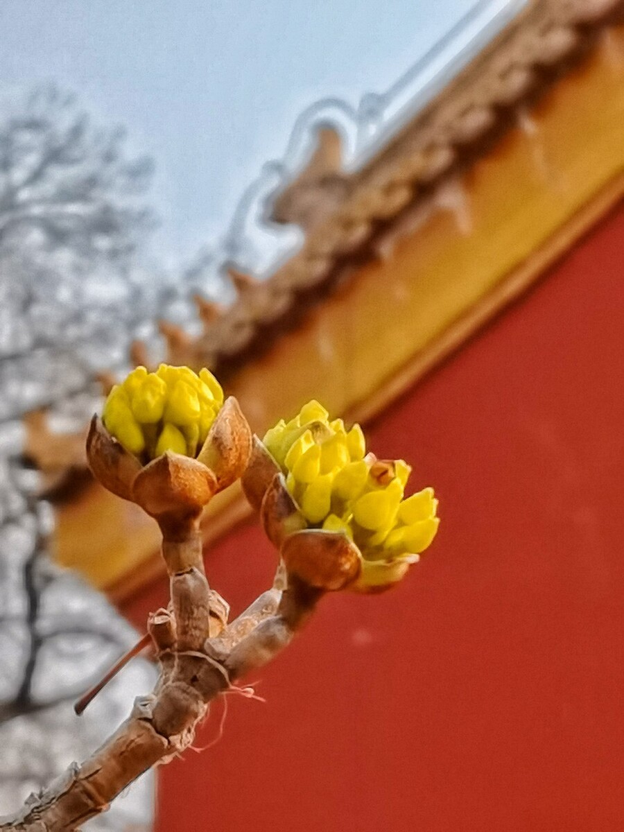 跟春天有關的詞語_已春天有關詞語_春天有關的詞語是