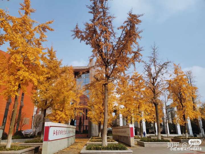 上海醫科大學繼續教育_上海中醫藥大學繼續教育學院_上海醫藥職工大學繼續教育學院