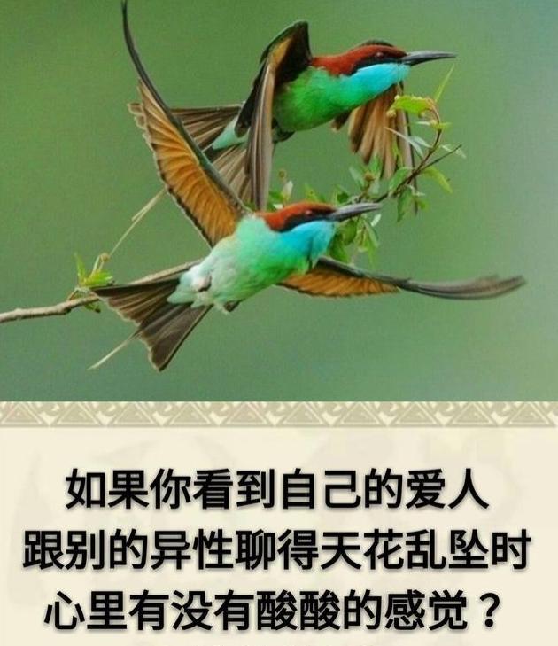 挽回說說愛情的句子_挽回愛情的說說_挽回愛情句子
