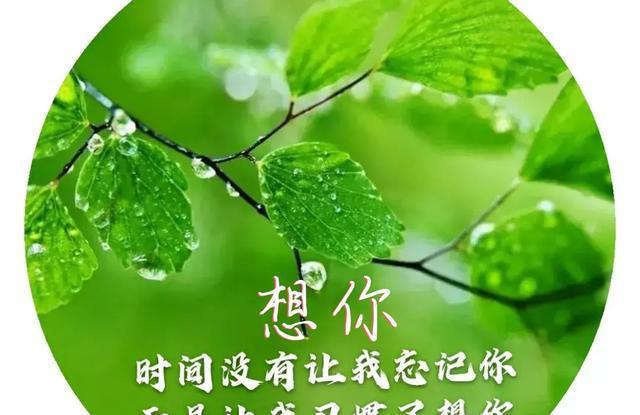 挽回愛情句子_挽回說說愛情的句子_挽回愛情的說說