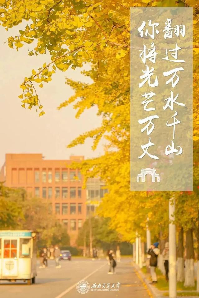 教務管理四川大學_四川教務平臺_四川大學本科教務系統登錄