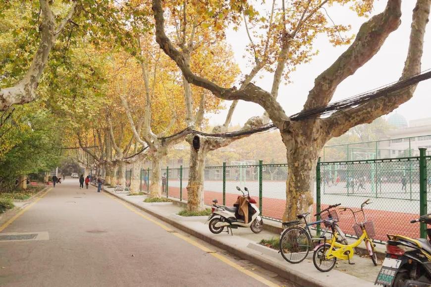 廣州大學(xué)排名一覽表及分?jǐn)?shù)線_廣州大學(xué)排名2024_廣州大學(xué)近三年最低排位