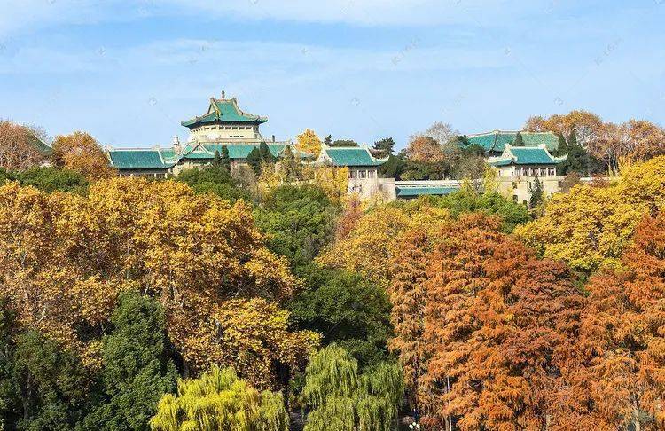 安徽大學是985211學校嗎_安徽大學是985還是211_安徽大學是211大學嗎