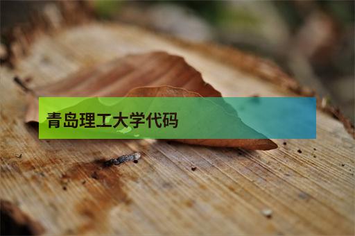 青島理工大學代碼_青島理工的代碼_青島理工大學代碼y004