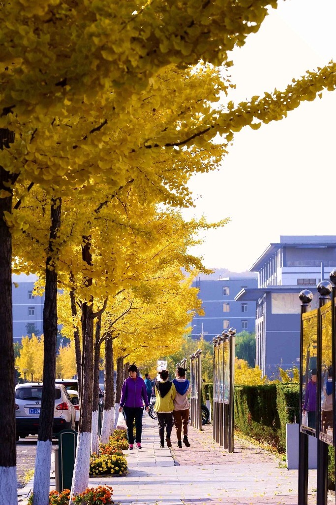 鞍山科技大學全國排名_鞍山科技大學原名_鞍山科技大學