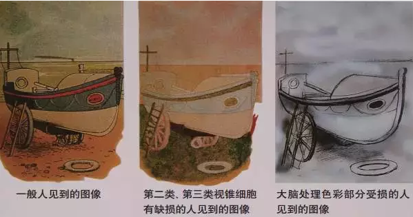 色弱高考可以報(bào)考的專業(yè)都有哪些_色弱可以參加高考嗎_高考色弱可報(bào)考的專業(yè)