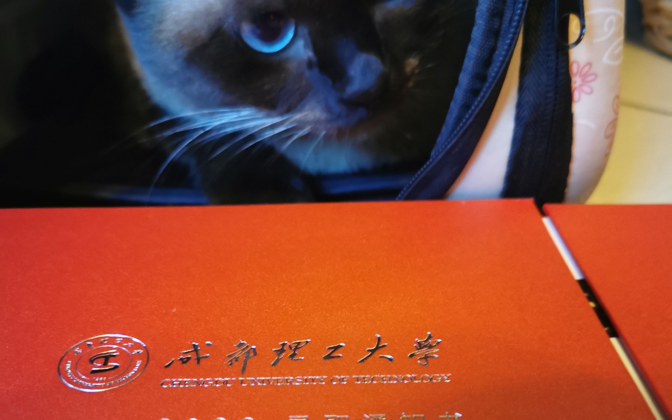 成都大學招生辦官網_成都理工大學招生辦_招生理工辦成都大學是本科嗎