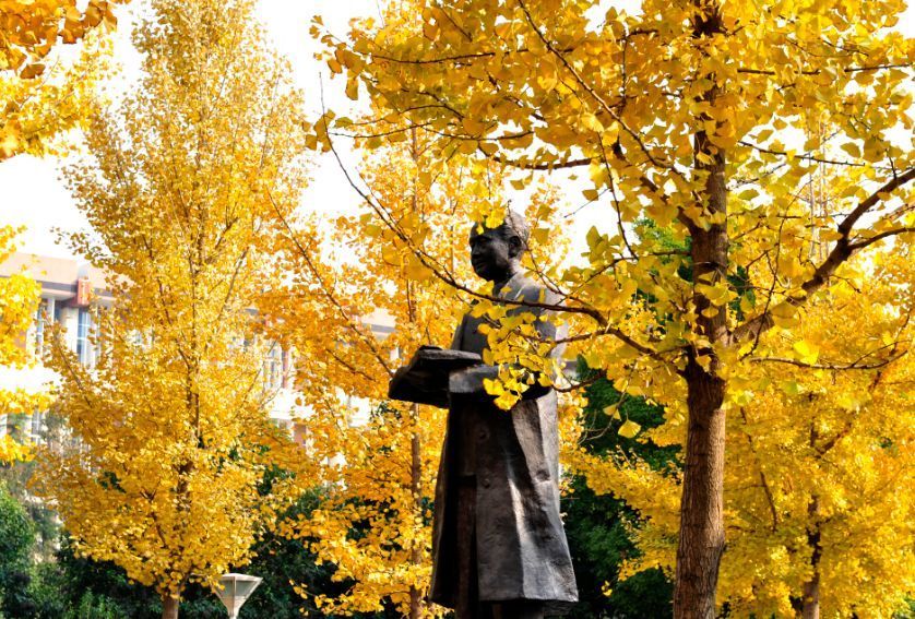 河南農(nóng)業(yè)大學(xué)屬于幾類本科_河南農(nóng)業(yè)大學(xué)本科專業(yè)介紹_河南農(nóng)業(yè)大學(xué)是幾本