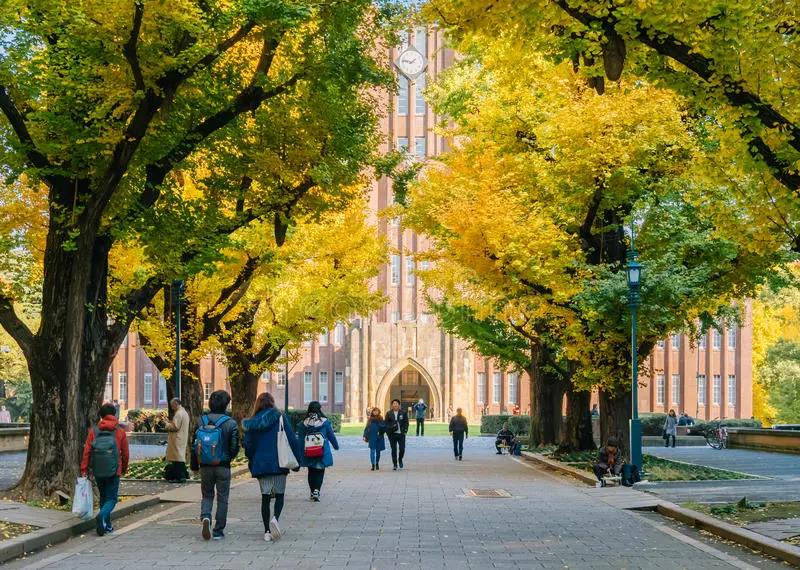 東北大學秦皇島分校_秦皇島分校東北大學官網_秦皇島東北大學在秦皇島哪個區