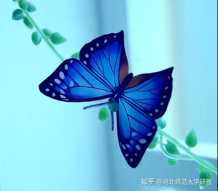 河北師范教務管理登錄_教務管理河北師范大學_河北師范大學教務系統