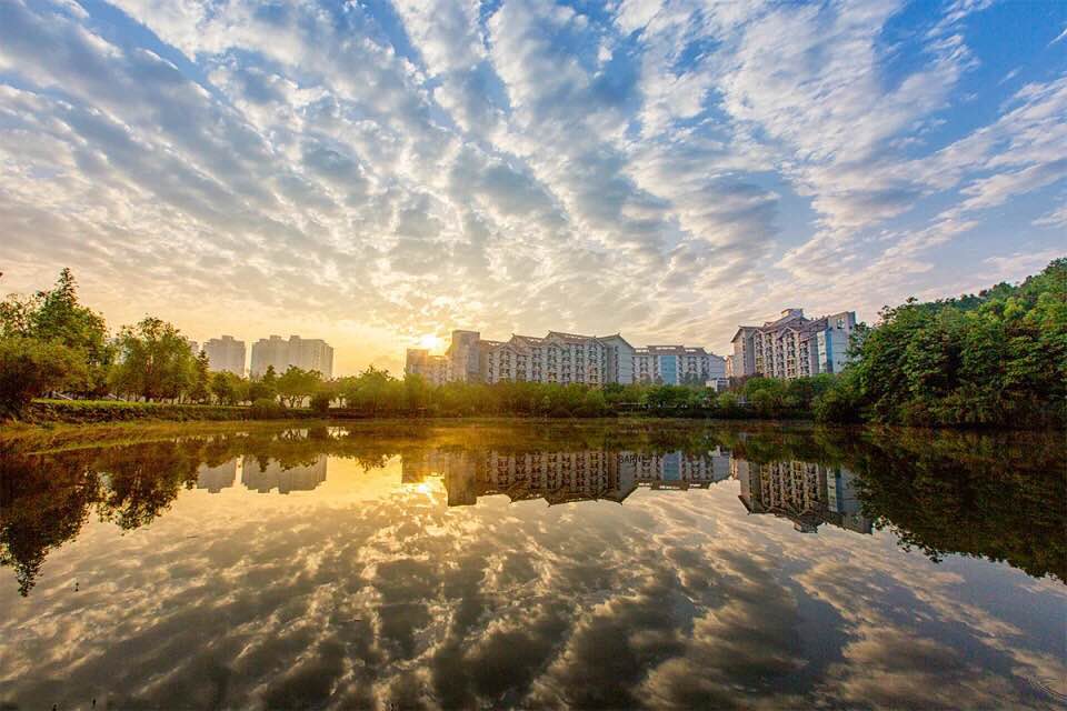 重慶各專科學院錄取分數線_重慶市的專科大學錄取分數線_2023年重慶科技學院專科錄取分數線