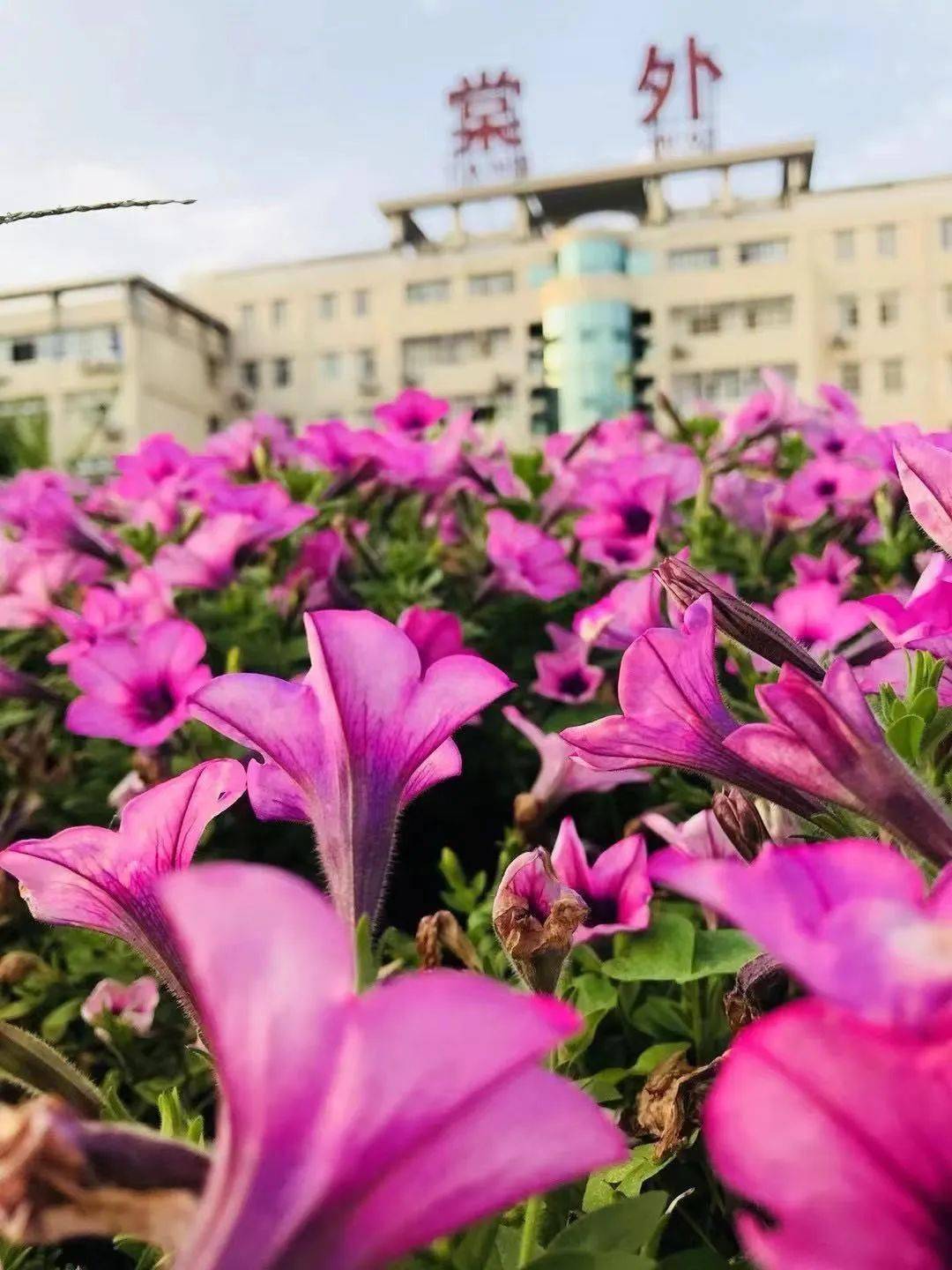 延世大學研究生幾年_延世大研究生申請_延世大學研究生