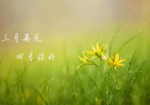 老馬識途是什么生肖號碼_老馬識途的生肖_老馬識途的動物屬什么生肖