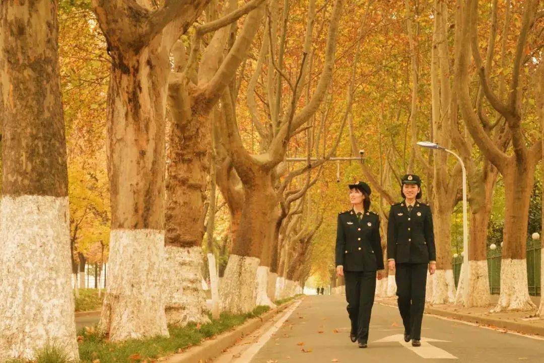 武警工程大學(xué)畢業(yè)干什么_武警工程大學(xué)畢業(yè)去向_去向武警畢業(yè)大學(xué)工程專業(yè)好嗎