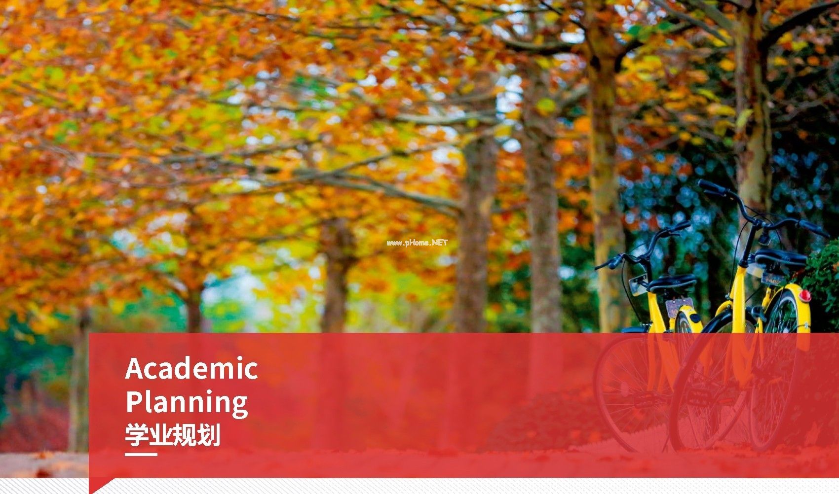 身份證查考試號_考試查詢證件編號是什么_用身份證號查學考準考證號