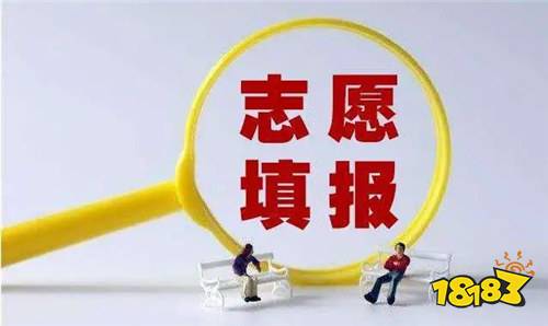 龍招港網站_龍招港網報中心2020_2021龍招港官方
