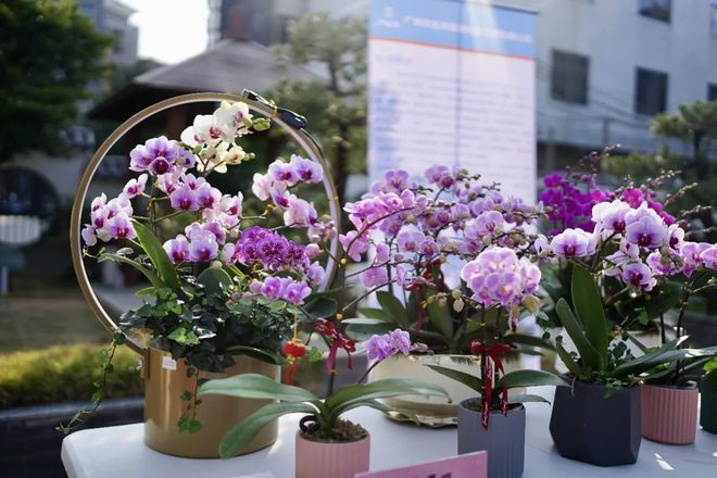 華潤萬家供應商服務登錄_華潤萬家供應商系統_華潤萬家供應鏈管理系統