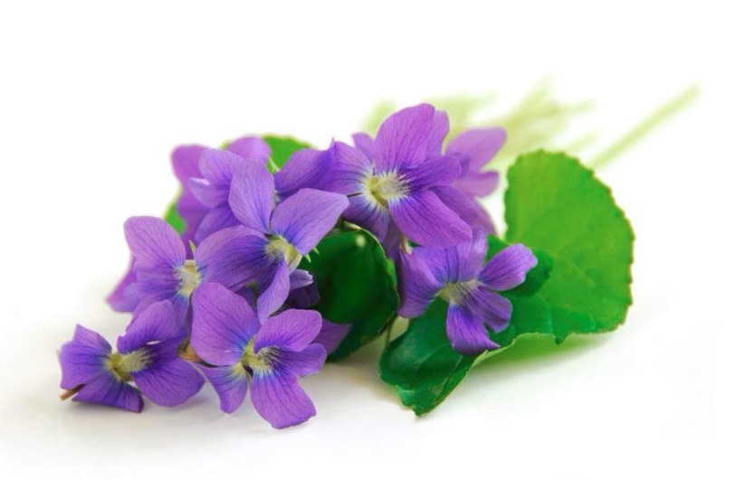 華潤萬家供應商系統_華潤萬家供應鏈管理系統_華潤萬家供應商服務登錄
