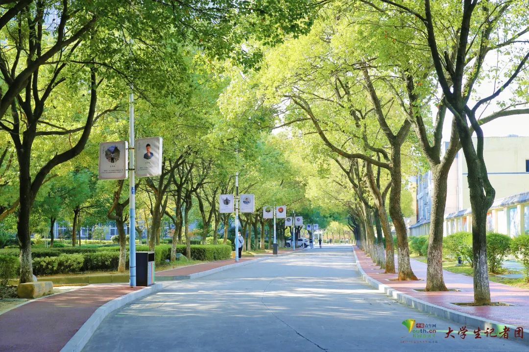 2024年江門職業技術學院錄取分數線_寧波技師學院分數錄取_江門職業技術學院錄取分數線