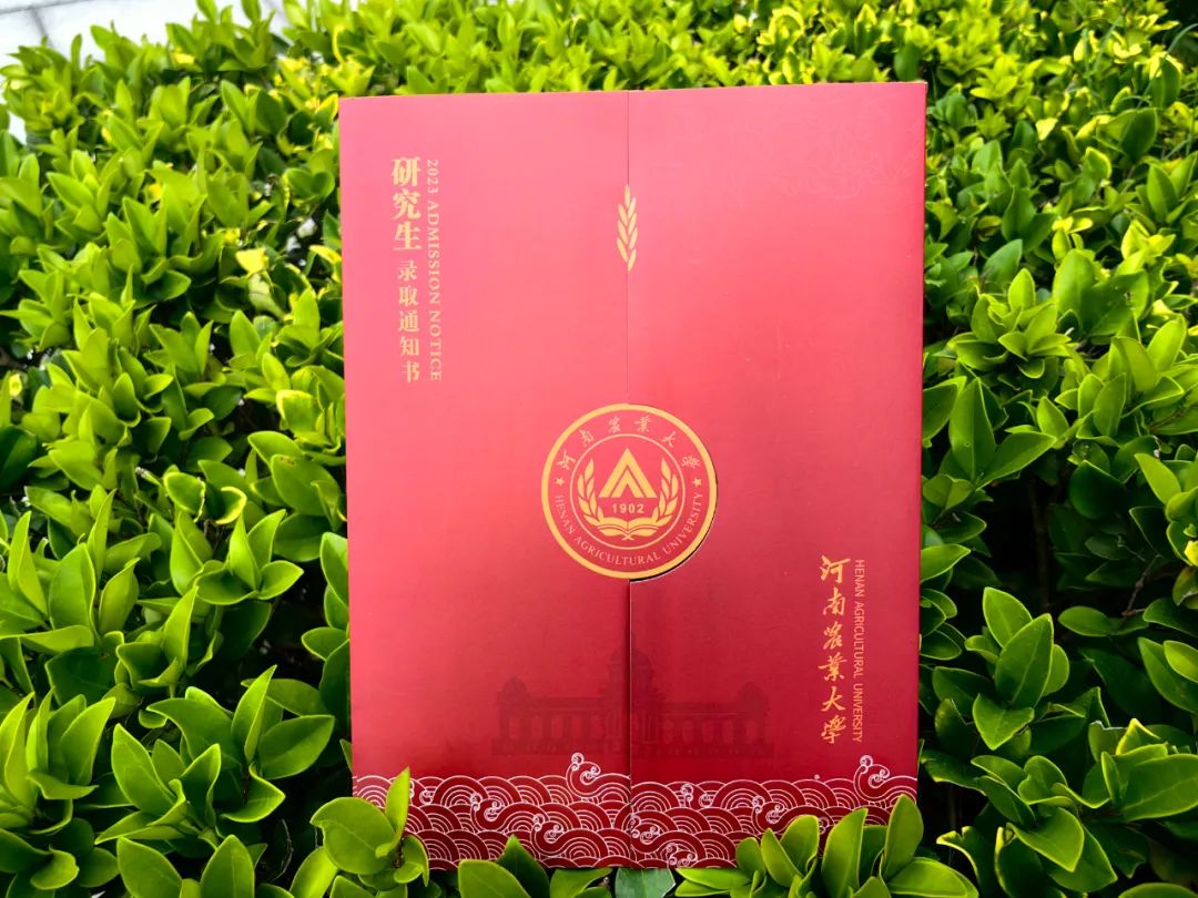2020年農大研究生分數線_2023年中國農大研究生院錄取分數線_研究生農學分數線